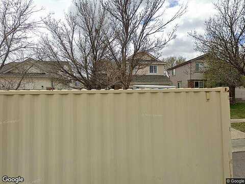 Goshawk, BRIGHTON, CO 80601