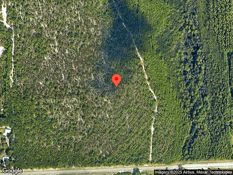 Rosemary, PANAMA CITY, FL 32404