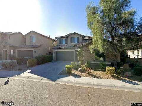 Ringtail, PHOENIX, AZ 85050