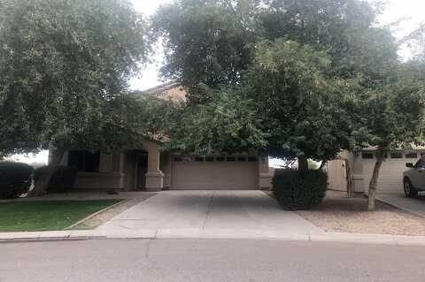 Murray Grey, SAN TAN VALLEY, AZ 85143
