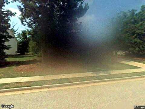 Lacebark, HAMPTON, GA 30228