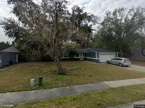 Sugar Bear, PALM HARBOR, FL 34684