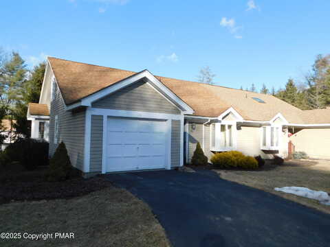 Turtle, STROUDSBURG, PA 18360