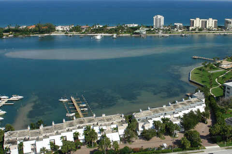 Scrimshaw, TEQUESTA, FL 33469