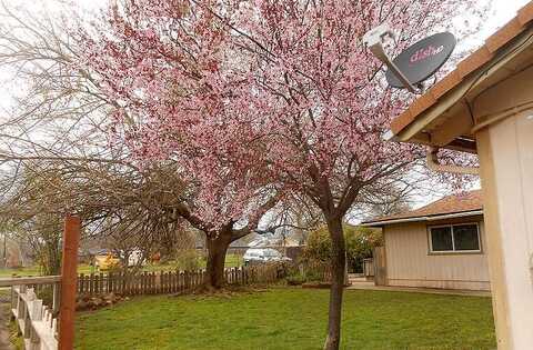 Mcelroy, REDDING, CA 96003