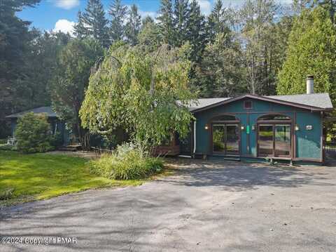 Willow, POCONO LAKE, PA 18347