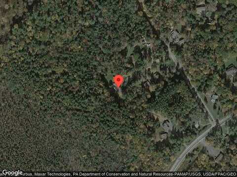 Willow, POCONO LAKE, PA 18347