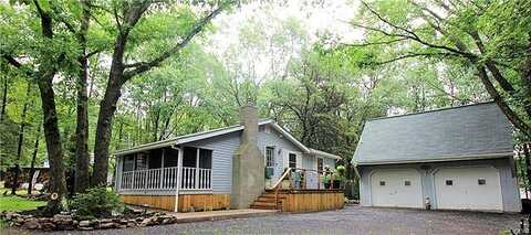 Sycamore, ALBRIGHTSVILLE, PA 18210