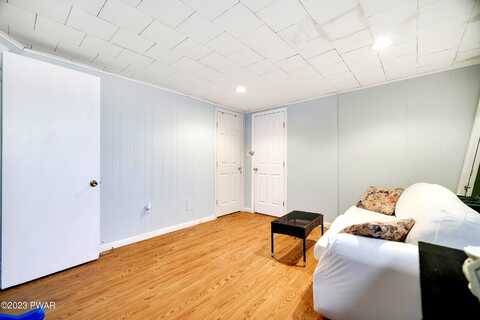 Sassafras, ALBRIGHTSVILLE, PA 18210
