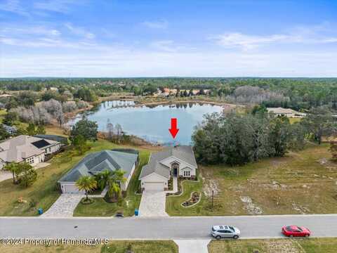 Trevino, WEEKI WACHEE, FL 34613