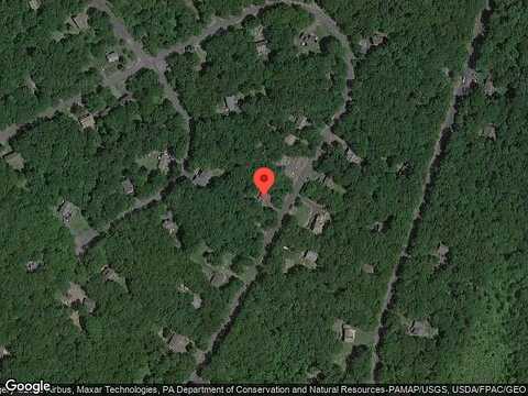 Mallard, BUSHKILL, PA 18324