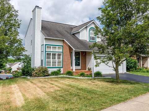 Mason, EPHRATA, PA 17522