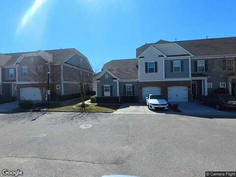 Buttonbush, VIRGINIA BEACH, VA 23456