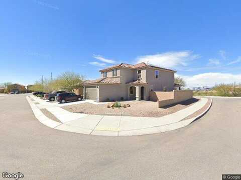 Desert Fauna, TUCSON, AZ 85747