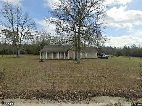 Wilburn, RAY CITY, GA 31645
