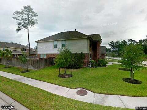 Lake Clark, HUMBLE, TX 77346