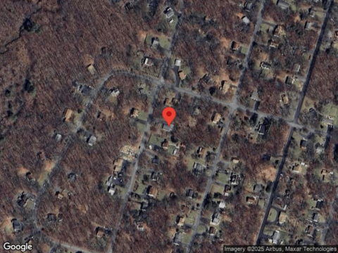 Mink, DINGMANS FERRY, PA 18328