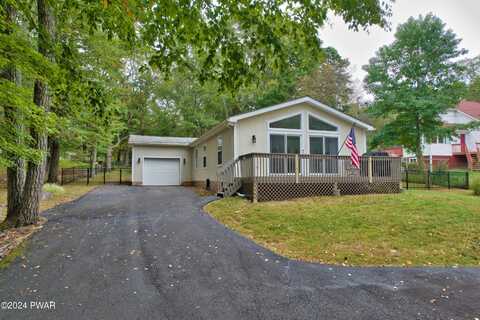 Mink, DINGMANS FERRY, PA 18328