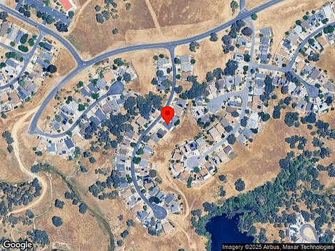 Bluebird, PASO ROBLES, CA 93446