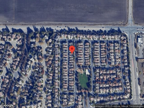 Dutch Tulip, STOCKTON, CA 95209