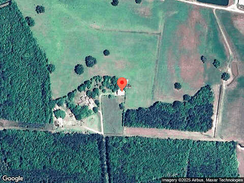 Pine Barren, BLOOMINGDALE, GA 31302