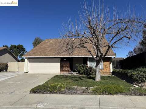 Bluebell, ANTIOCH, CA 94531