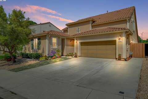 Blumen, BRENTWOOD, CA 94513