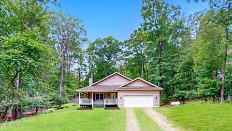 Paper Birch, TAFTON, PA 18464