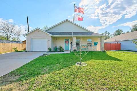Pecan, HITCHCOCK, TX 77563