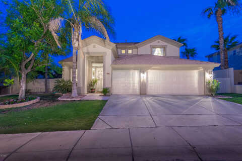Myrtle, CHANDLER, AZ 85248