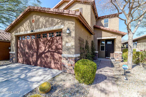 Desert Fauna, TUCSON, AZ 85747
