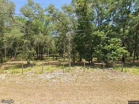 May Gold, SPRING HILL, FL 34608