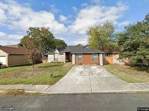 Quail, SAN ANTONIO, TX 78244