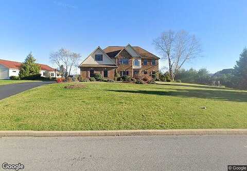 Alexis, WILLIAMSPORT, PA 17701