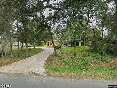 Orchid, DADE CITY, FL 33523