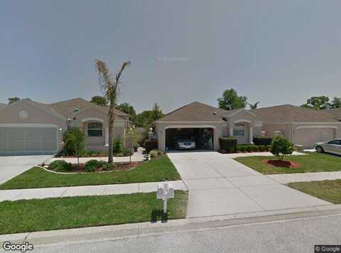 Royal Palm, SPRING HILL, FL 34608