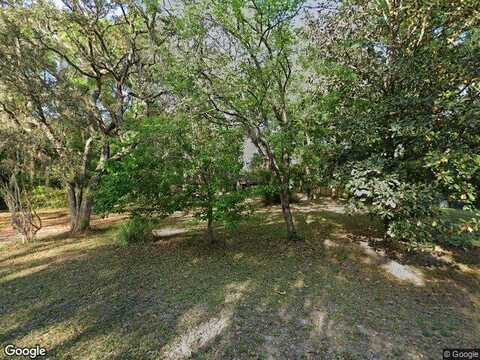 Begonia, MIDDLEBURG, FL 32068