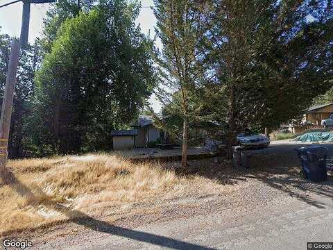 Lupine, WILLITS, CA 95490