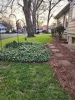 Walnut, CEDARTOWN, GA 30125