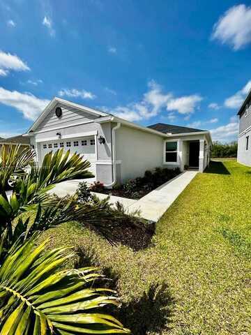 Papaya, DAVENPORT, FL 33897