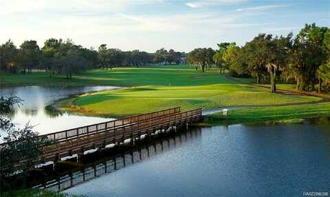 Skyview Crossing, HERNANDO, FL 34442
