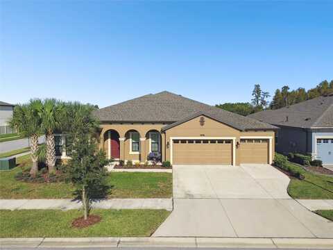 Birchleaf, LAND O LAKES, FL 34637