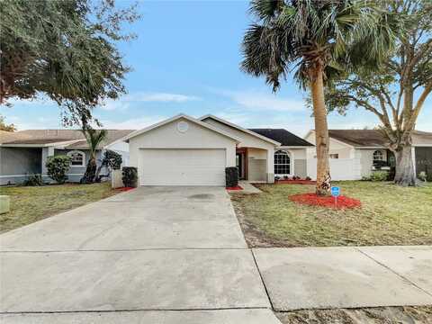 Turkey Oak, KISSIMMEE, FL 34747