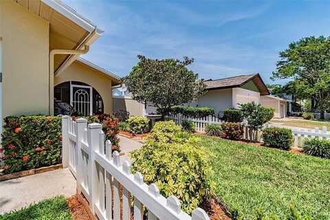 6Th, SAFETY HARBOR, FL 34695
