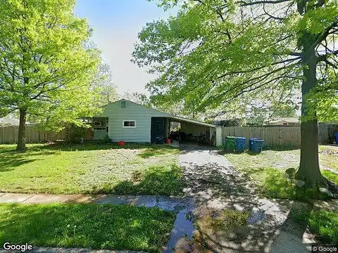 Daffodil, LEVITTOWN, PA 19055