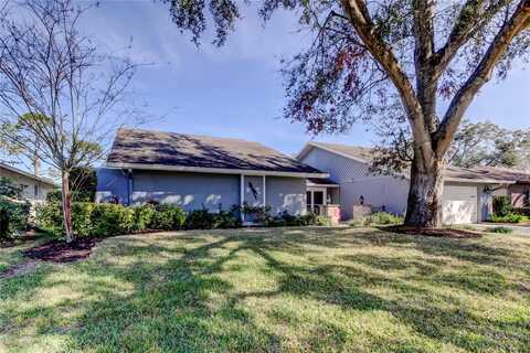 Cloverlawn, TAMPA, FL 33624