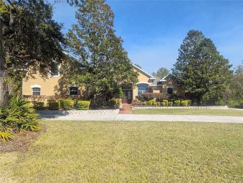 Saffron, EUSTIS, FL 32736