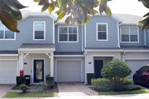 Hedge Maple, WINTER SPRINGS, FL 32708