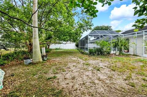 Turkey Pine, LECANTO, FL 34461