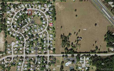 Turkey Pine, LECANTO, FL 34461